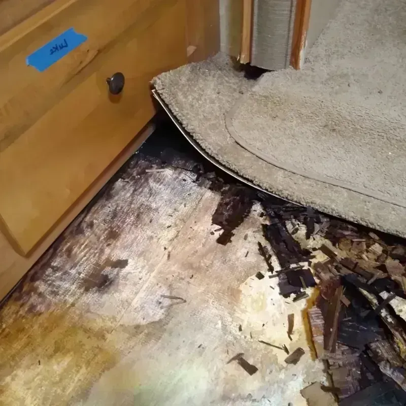 Wood Floor Water Damage in Augusta, KS